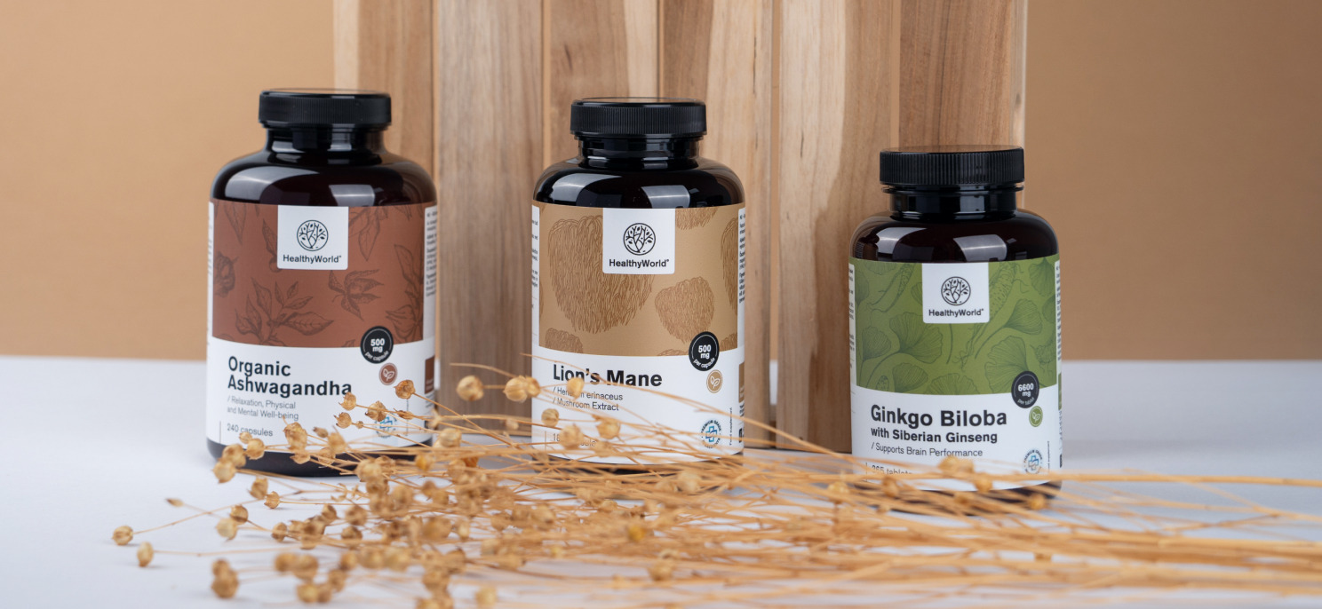 Cerebro y sistema nervioso