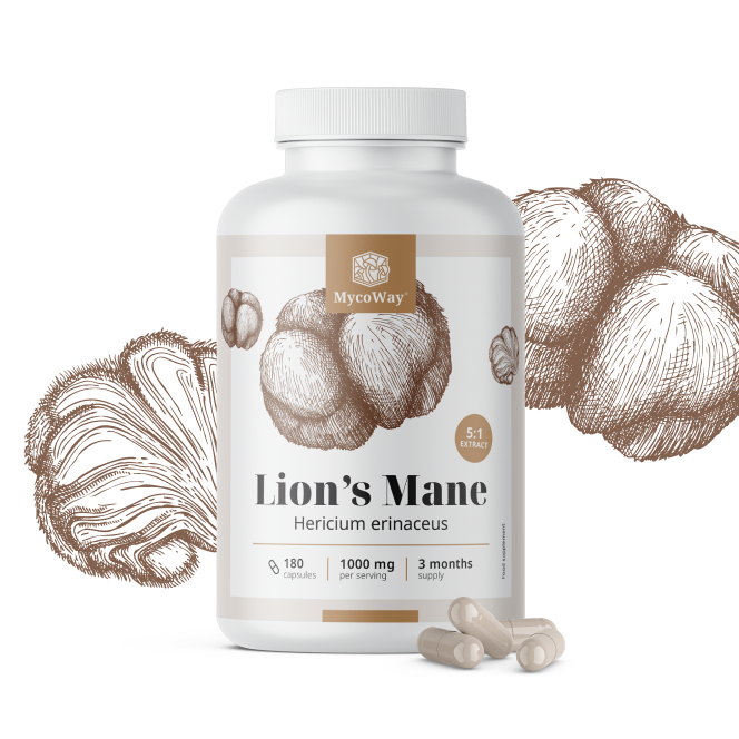 Melena de león 1000 mg - extracto 5:1