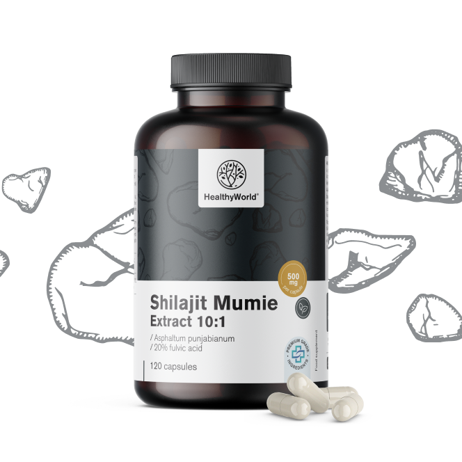 Shilajit Mumie Extract 10:1