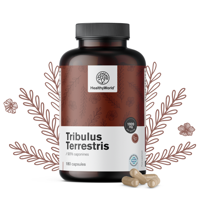 Abrojo – Tribulus 1920 mg