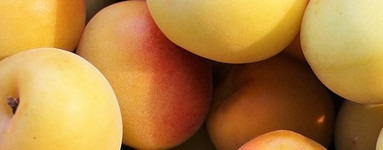 Amigdalin (vitamin B17)