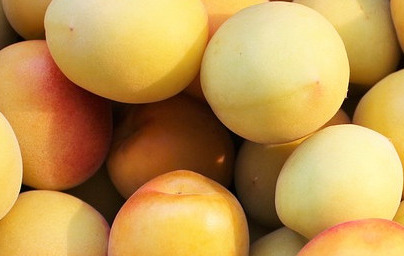 Amigdalin (vitamin B17) Amigdalin (vitamin B17)