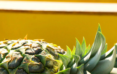 Ananas (Ananas comosus)