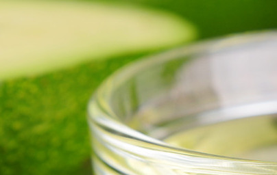 Avokadovo olje (Persea americana)