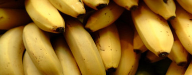 Banana (Musa cavendishii)