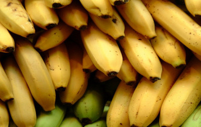 Banana (Musa cavendishii)