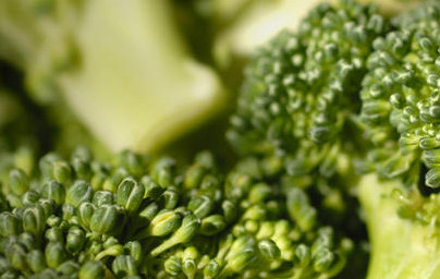 Brokoli (Brassica oleracea var. Italica)