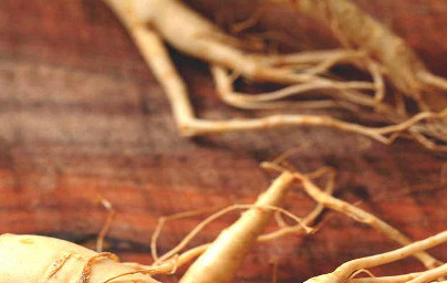 Ginseng (Panax) Ginseng (Panax)