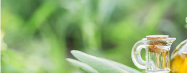 Sustancias amargas o amargos