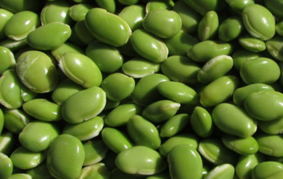 Griffonia (Griffonia simplicifolia) Griffonia (Griffonia simplicifolia)