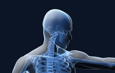 Imunski sistem Imunski sistem