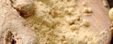 Ingver (Rhizoma zingiberis)