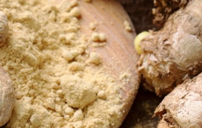 Ingver (Rhizoma zingiberis) Ingver (Rhizoma zingiberis)