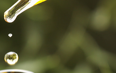 Jojobino olje (Simmondsia chinensis)