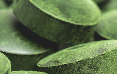 Klorela (Chlorella) Klorela (Chlorella)