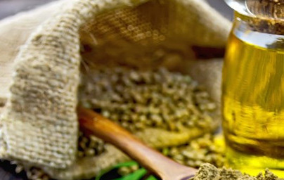 Konopljino olje (Cannabis sativa)