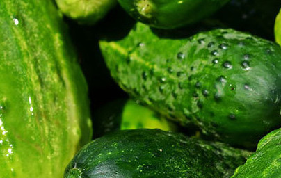 Kumare (Cucumis sativus)