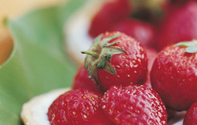 LCHF kokosova krema z jagodami