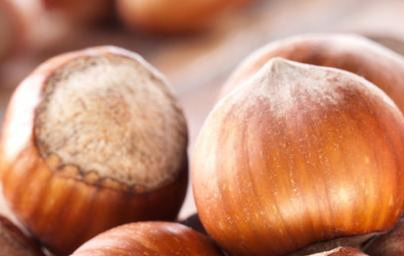 Lešnikovo olje (Corylus avellana L.)