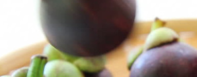 Mangostan (Garcinia mangostana)