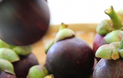 Mangostan (Garcinia mangostana) Mangostan (Garcinia mangostana)