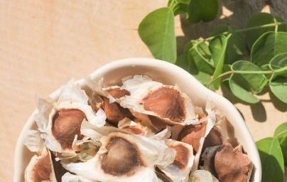 Olje iz moringe (Moringa oleifera)