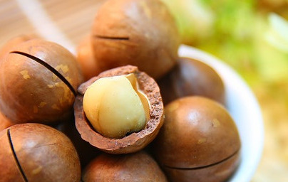 Olje makadamije (olje avstralskega oreha)