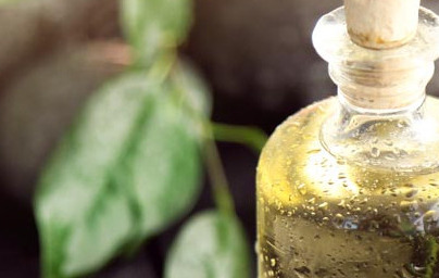 Olje čajevca (Melaleuca alternifolia)