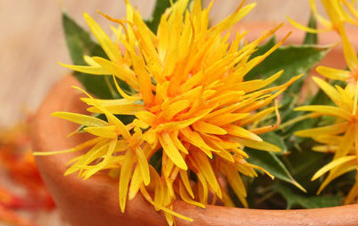 Olje žafranike (Carthamus tinctorius)