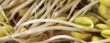 Riboflavin (vitamin B2)