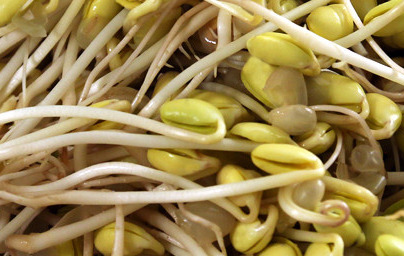 Riboflavin (vitamin B2)