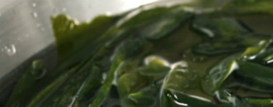Wakame