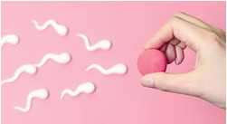 ¿Cuándo soy más fértil?