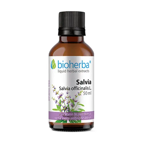 Tintura de salvia