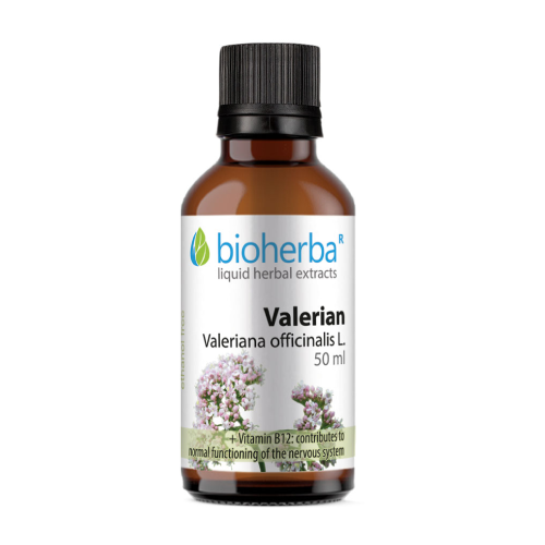 Tintura de valeriana.