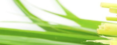 Eterično olje citronele