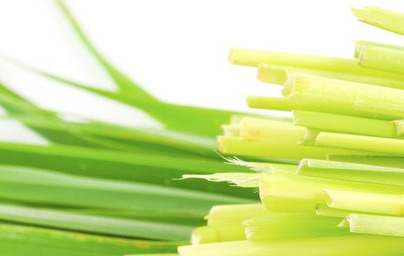 Eterično olje citronele