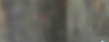 Eterično olje kamilice