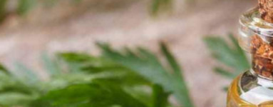 Eterično olje korenja