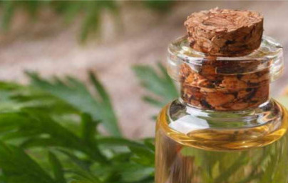 Eterično olje korenja