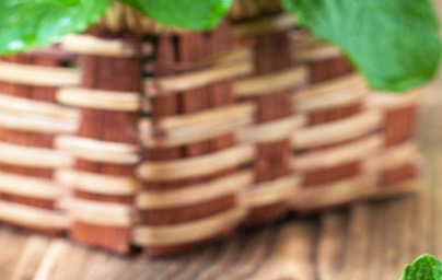 Eterično olje poprove mete