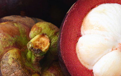 Mangostan