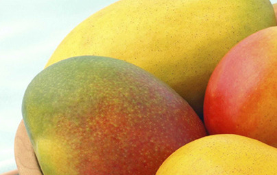 Mango in njegove prednosti pri uživanju. 2.del