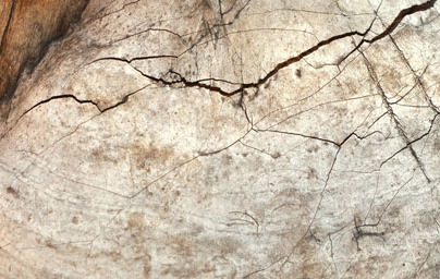 Okrepite imunski sistem s Chago!