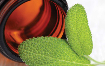 Tinkture - moč narave