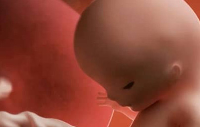 11. teden nosečnosti