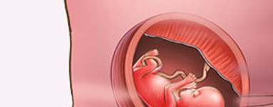 12. teden nosečnosti