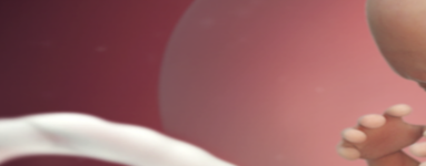 14. teden nosečnosti