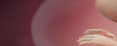 15. teden nosečnosti