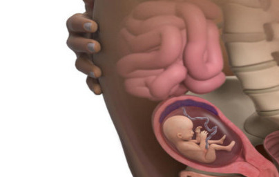 16. teden nosečnosti